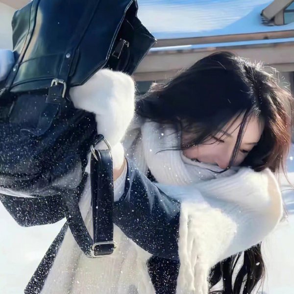风载歌行